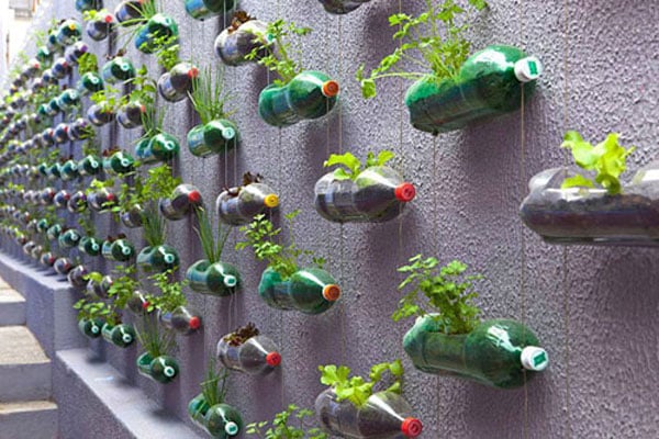 Tái chế chai nhựa thành vườn cây